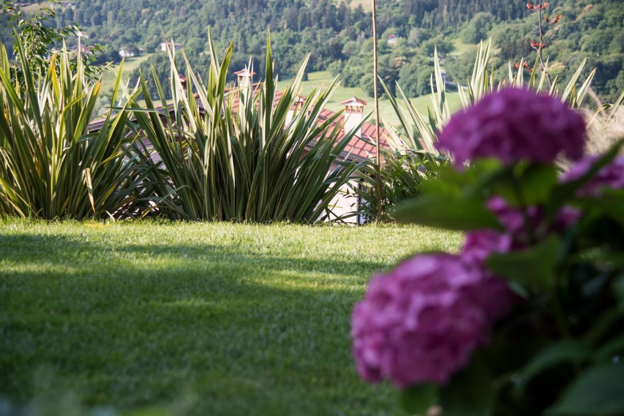 La Casa Di Emy Villa Solto Collina Exterior photo